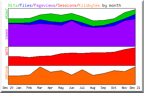 Graphische Darstellung der Statistik über die Zugriffe auf eine Homepage im Jahre 2021.