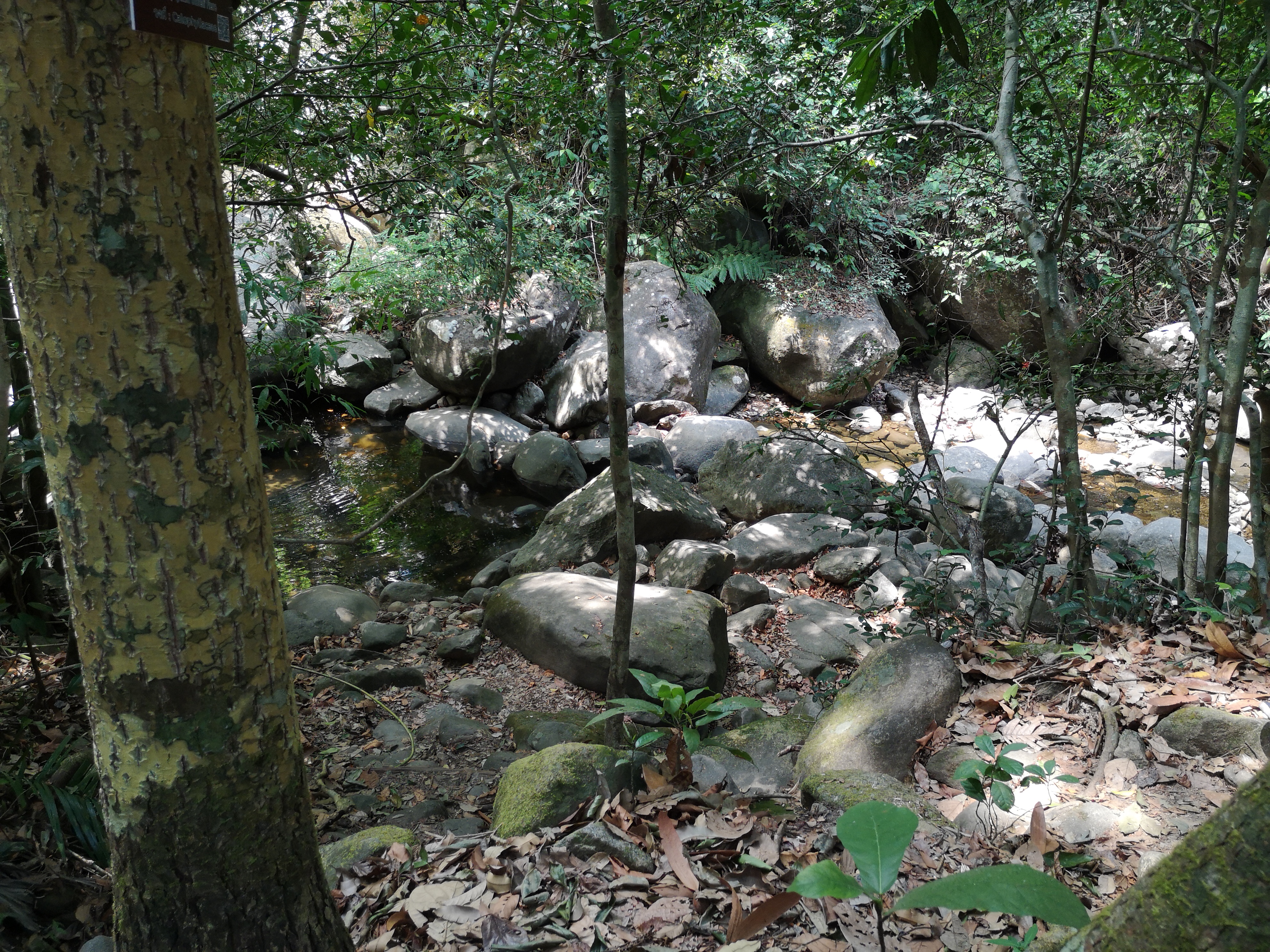 Farbfoto von einem Wasserfall am Khao Chamao Urwald im Khaochamao-Khaowong National Park in Thailand. Im April 2023. Fotograf: Erwin Thomasius.